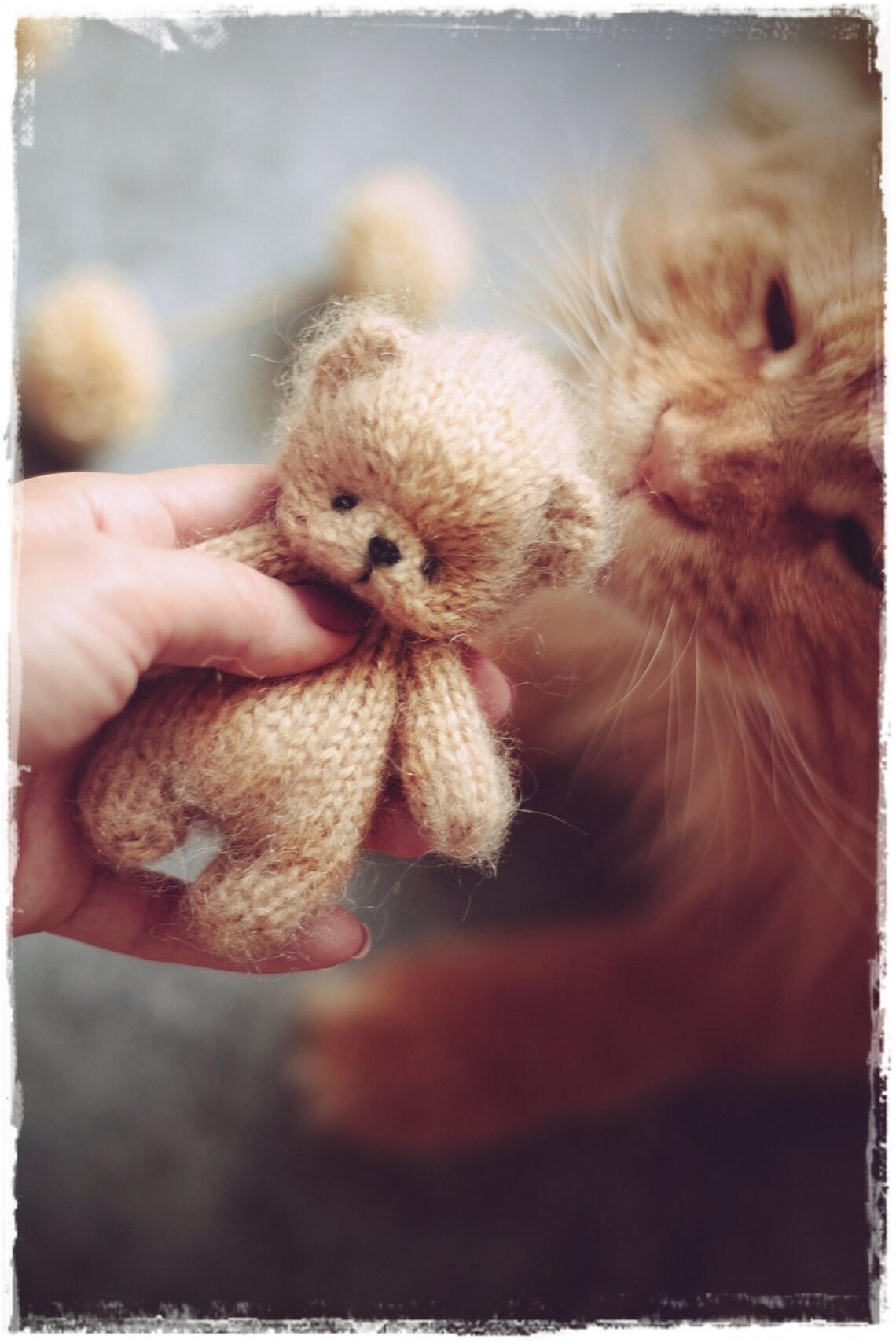 Teddy Bear Knitting Pattern