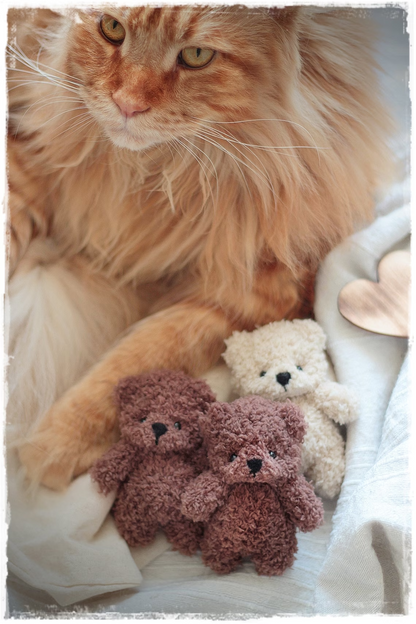 Teddy Bear Knitting Pattern