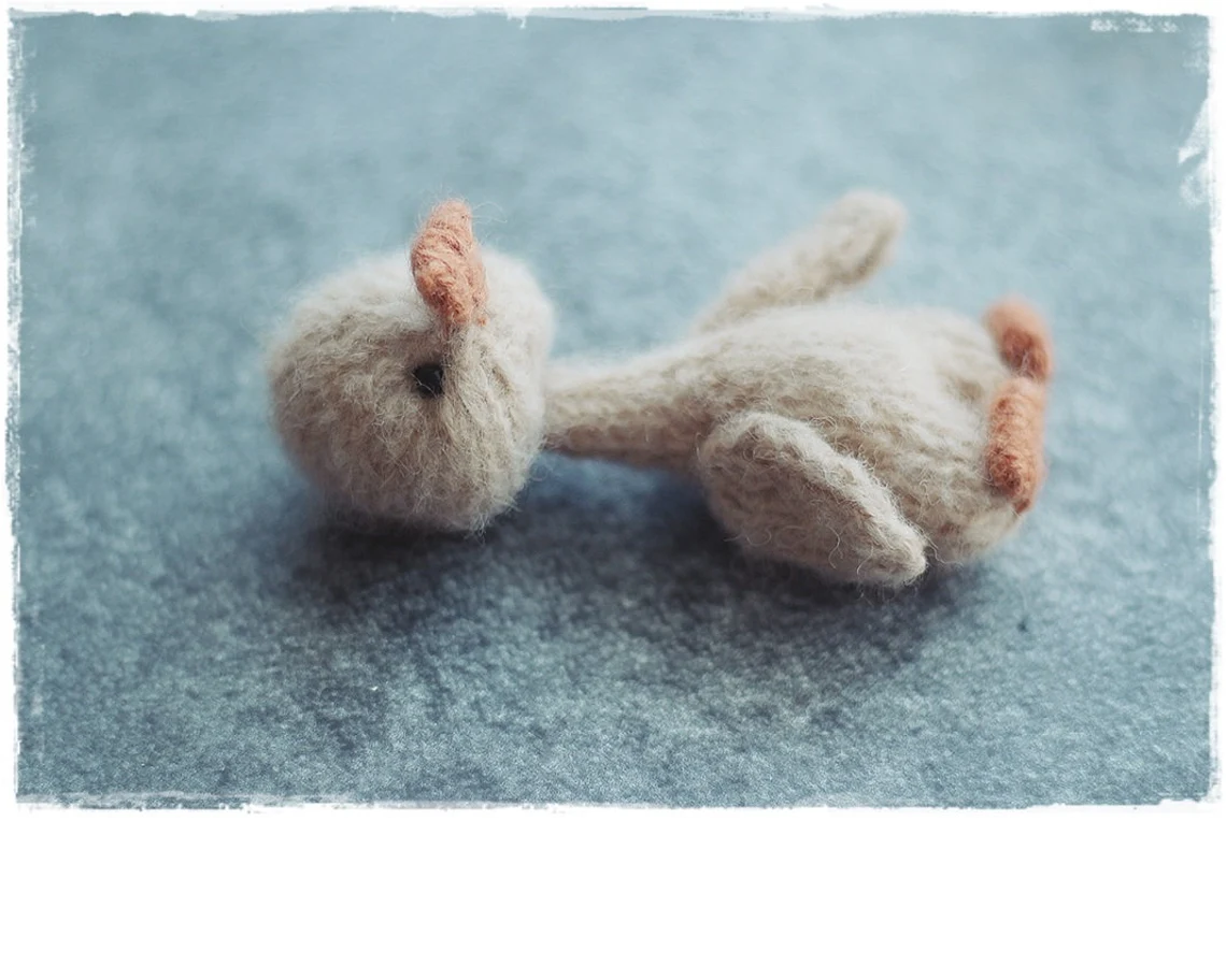 🪡 Tiny Little Goose Knitting Pattern PDF